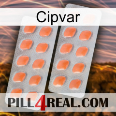 Cipvar 27